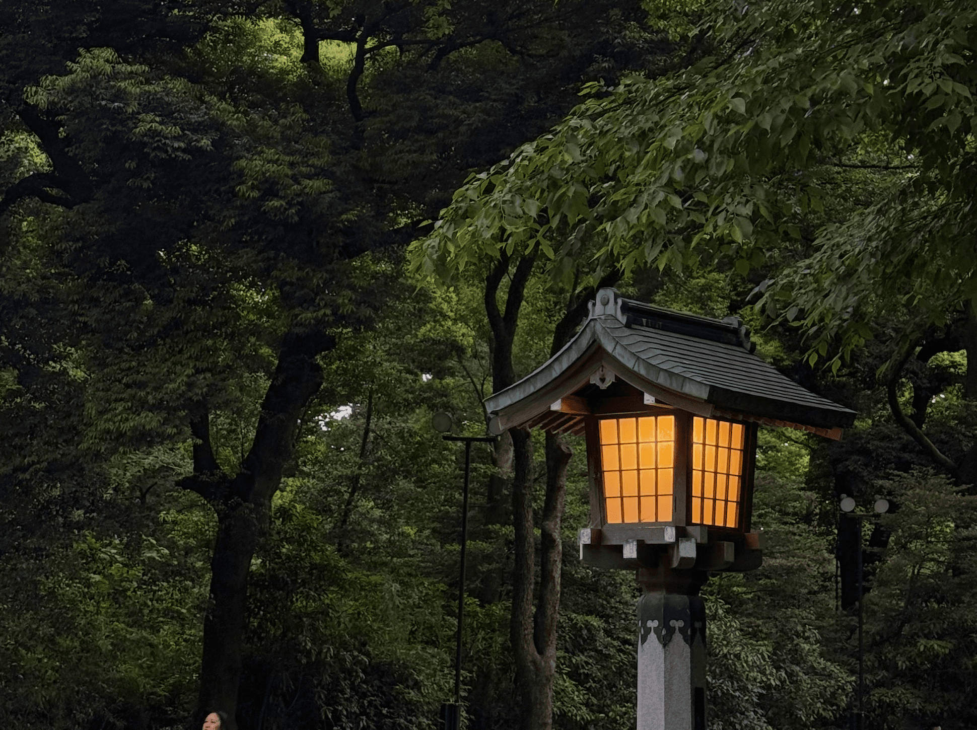 Japan on Foot