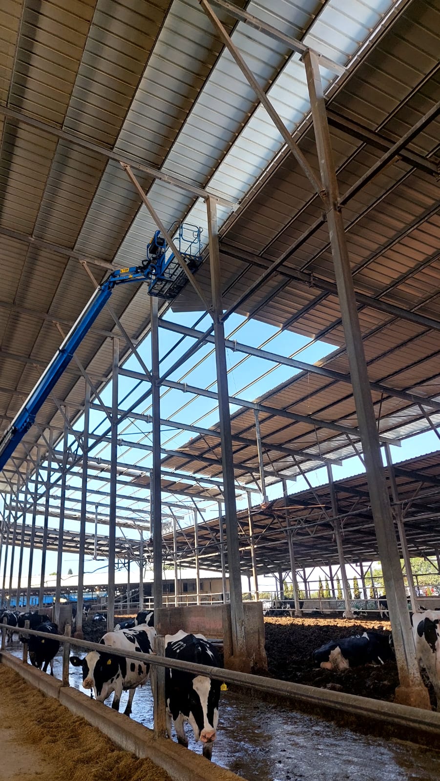 Modern kitchen with a wooden dining table, white chairs, and a hanging light fixture above.