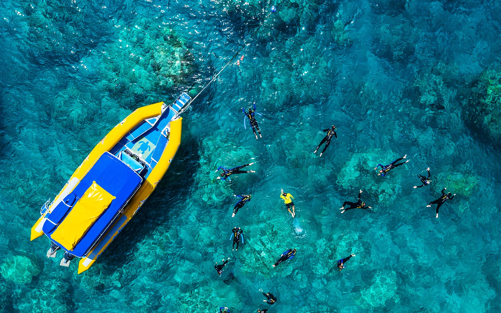 שנורקלרים ליד רפסודה צהובה במים הצלולים של הוויסאנדייס, אוסטרליה.