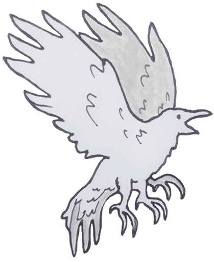 illustration of a sun crow mythical creature