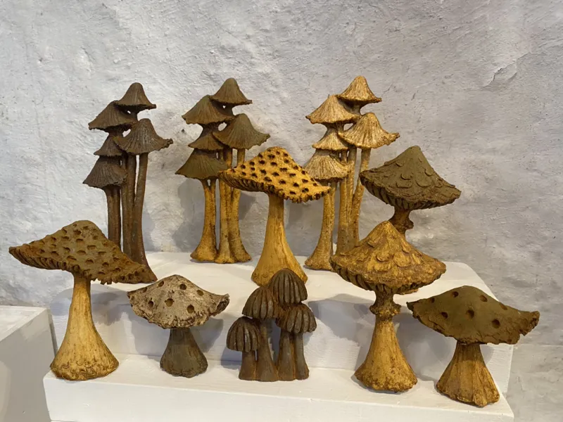 group of fortuitous fungi at exhibition