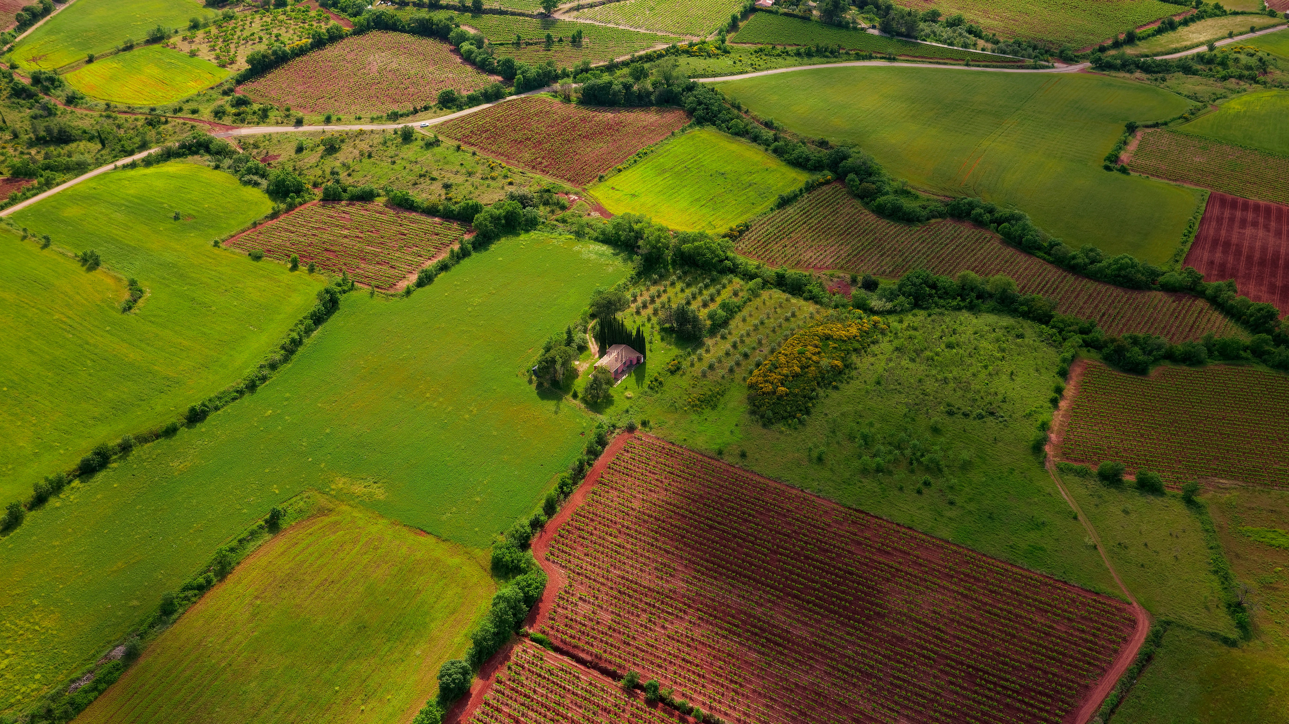 aerial view of green grass field