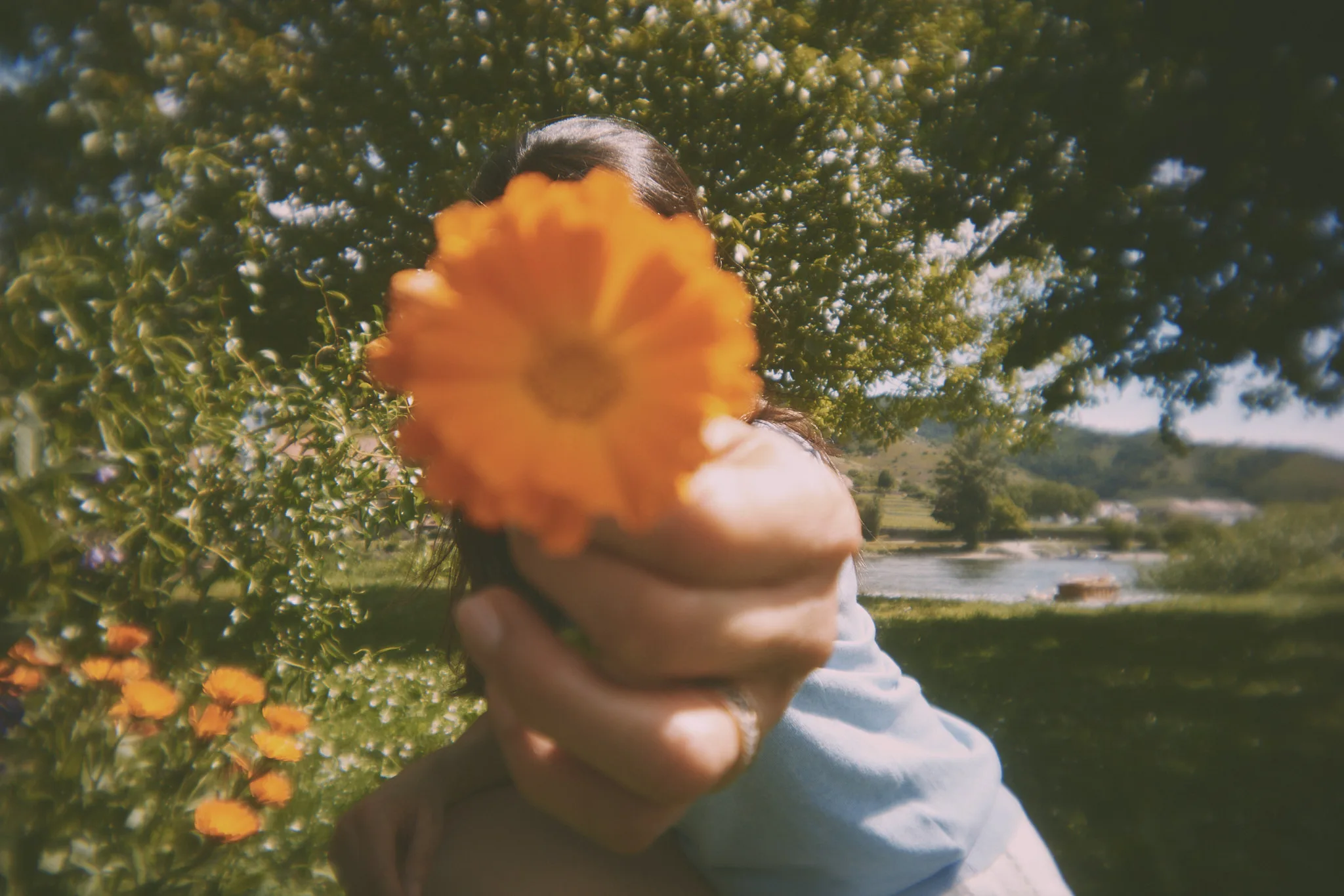 woman holds orange flower toward camera — lifestyle photography by Tom Kubik
