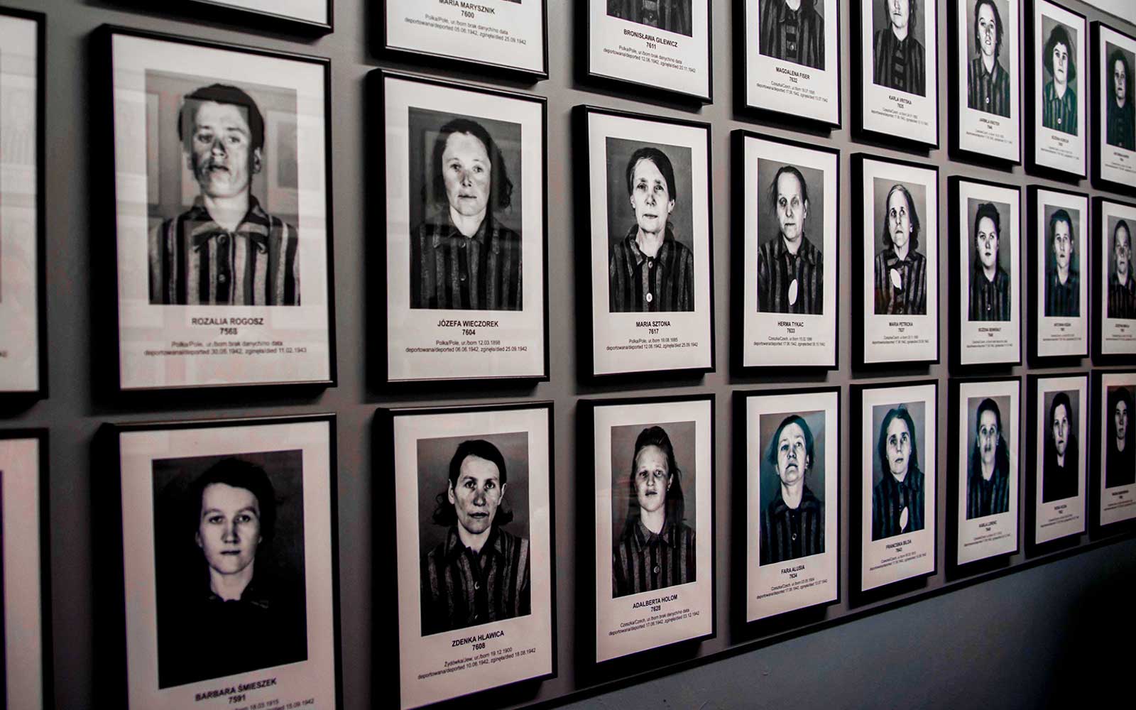 Portrety więźniów Auschwitz-Birkenau wystawione na ścianie muzeum.