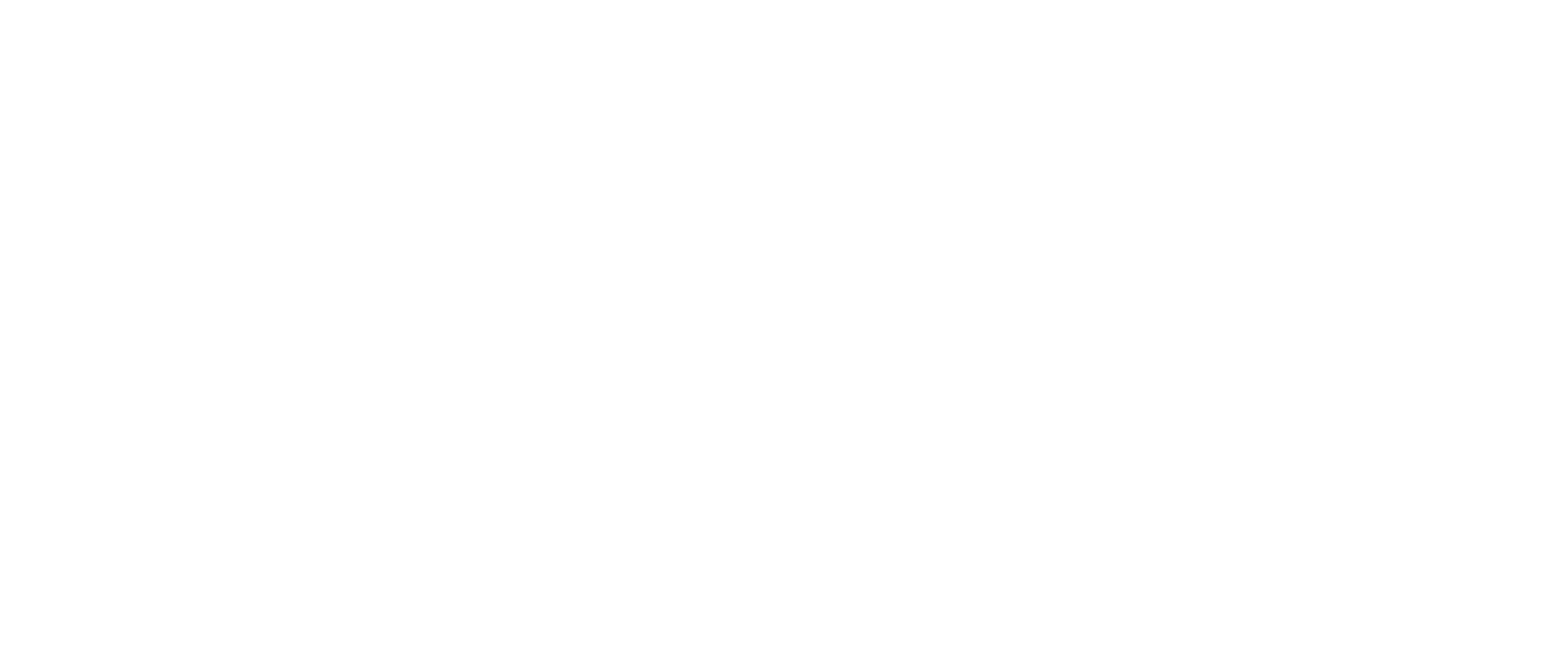 Premier League logo. Premier League Matchday & Event Security Services UK.