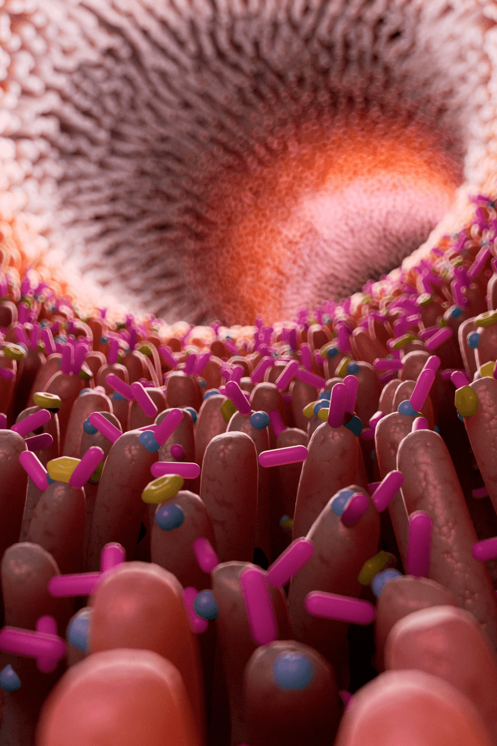 Gut Health Pic