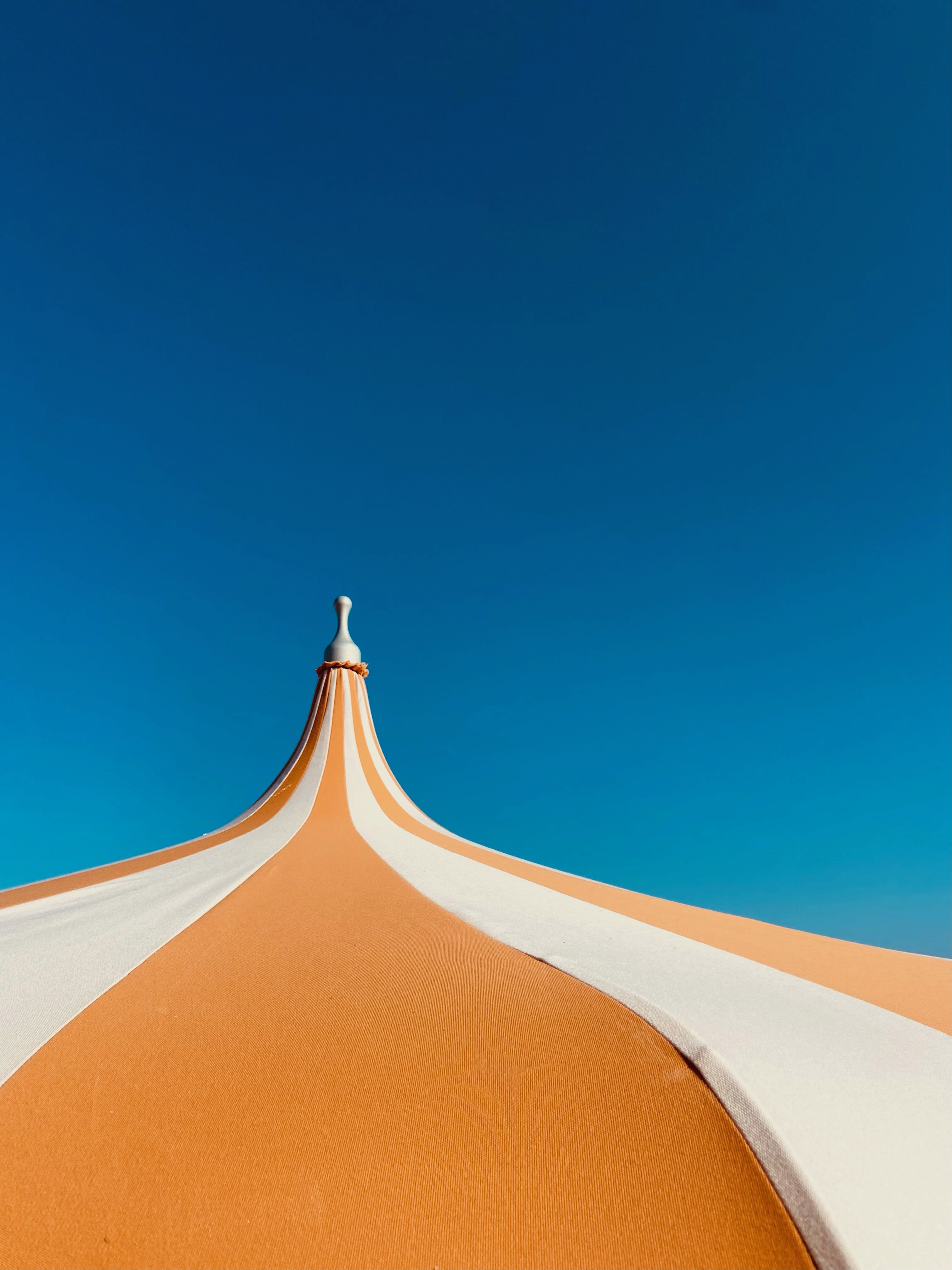 Close-up of a dark green leaf showing its textured surface and central vein against a muted background.