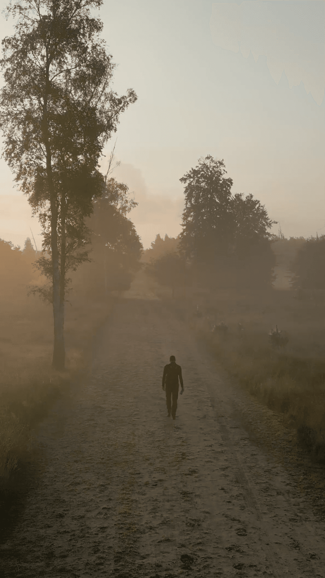 Man walking a journey