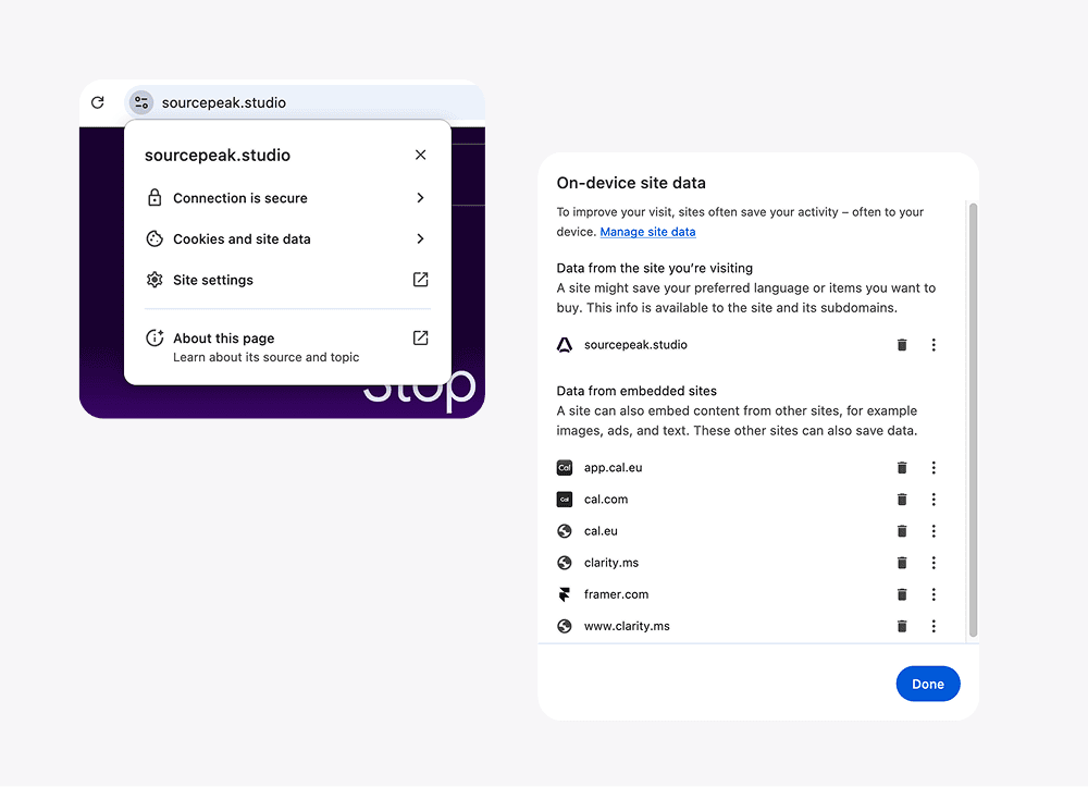 Chrome Basic Cookies tool showing list of cookies.