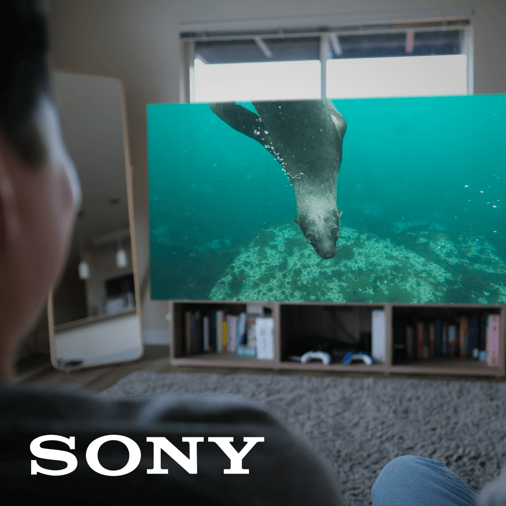 An image of a person watching a floating TV screen showing sea lions swimming underwater; the Sony logo is shown in the corner.