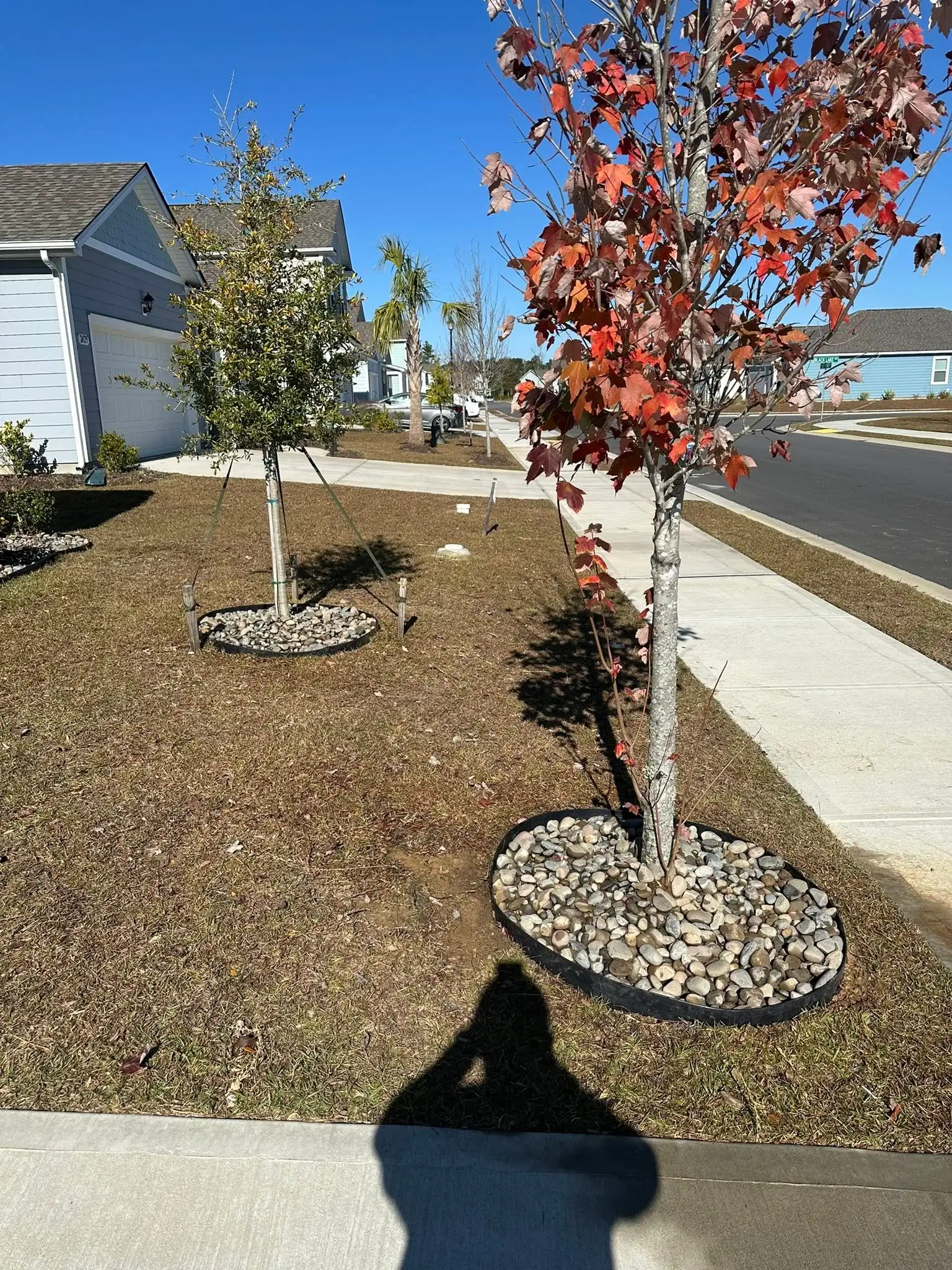 Beautiful landscaped garden with greenery and outdoor design elements.