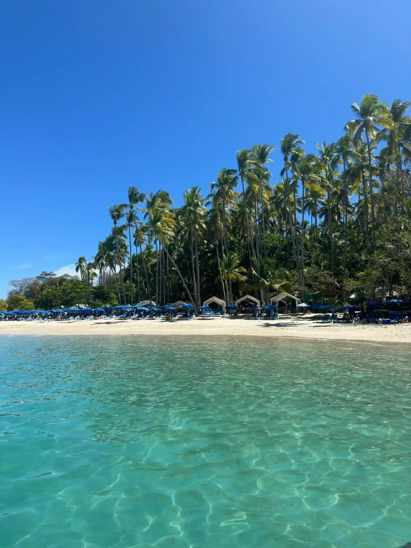 a black and white living room with a large tv