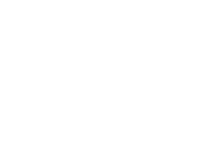 Garmin logo