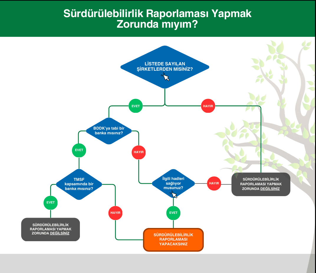 A flowchart regarding the obligation to prepare sustainability reporting. The chart begins with the question “Are you one of the companies listed?” and determines whether the company is required to report based on whether it meets the thresholds applicable to banks under the supervision of the Banking Regulation and Supervision Agency (BDDK) and the Savings Deposit Insurance Fund (TMSF). Source: Public Oversight, Accounting and Auditing Standards Authority (KGK).