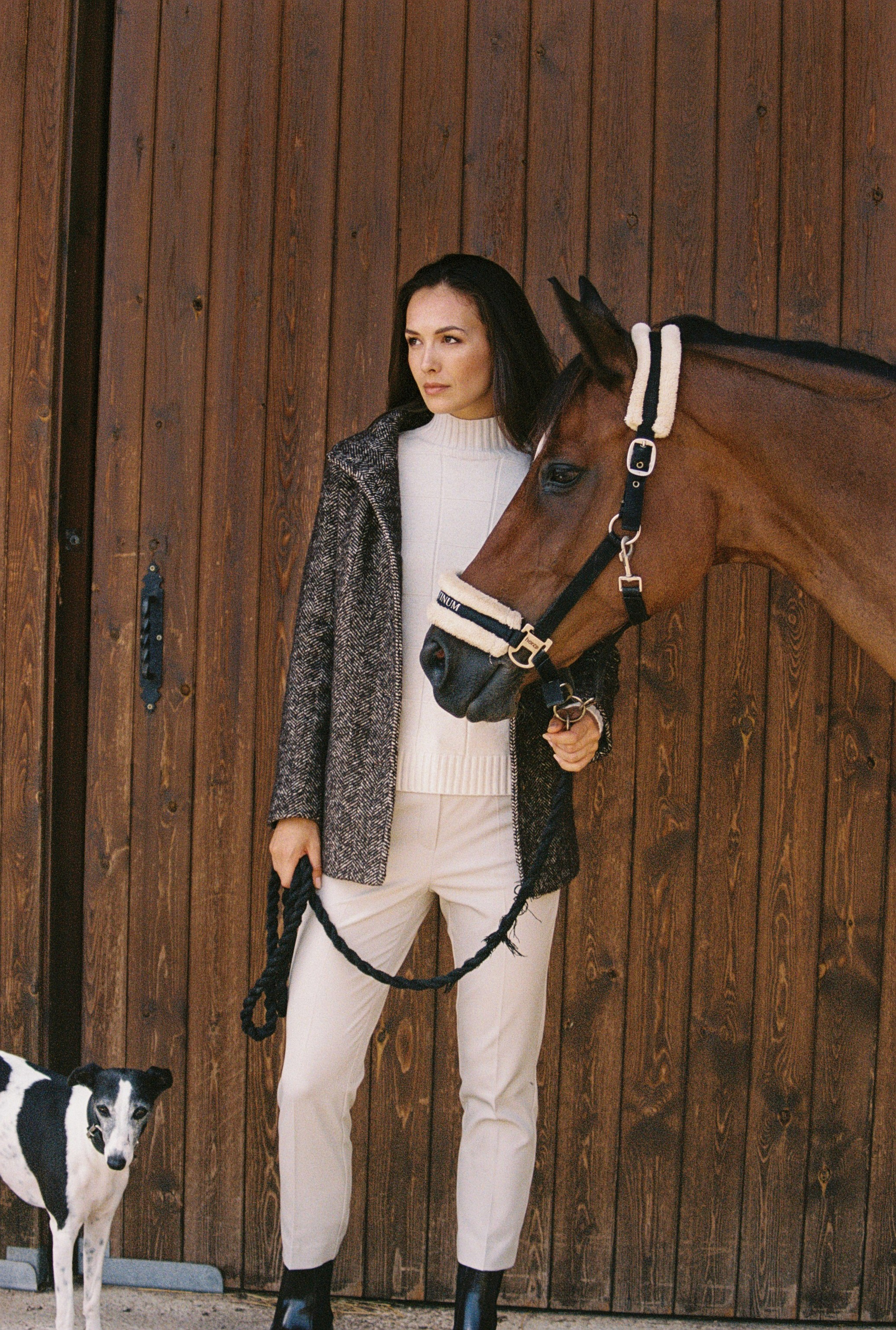 Makeup Brushes with Foundation