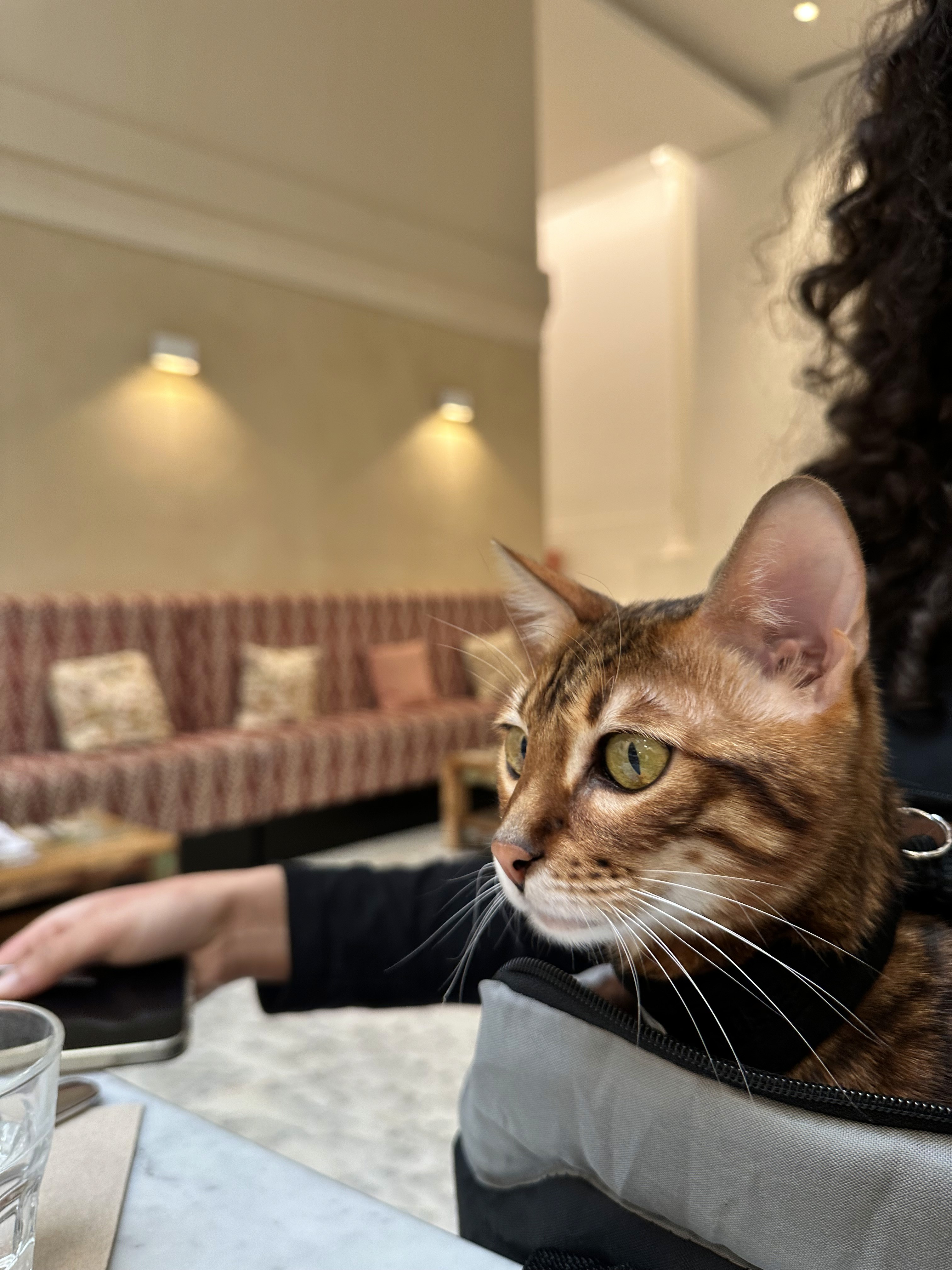 Una&Co Photo Transport