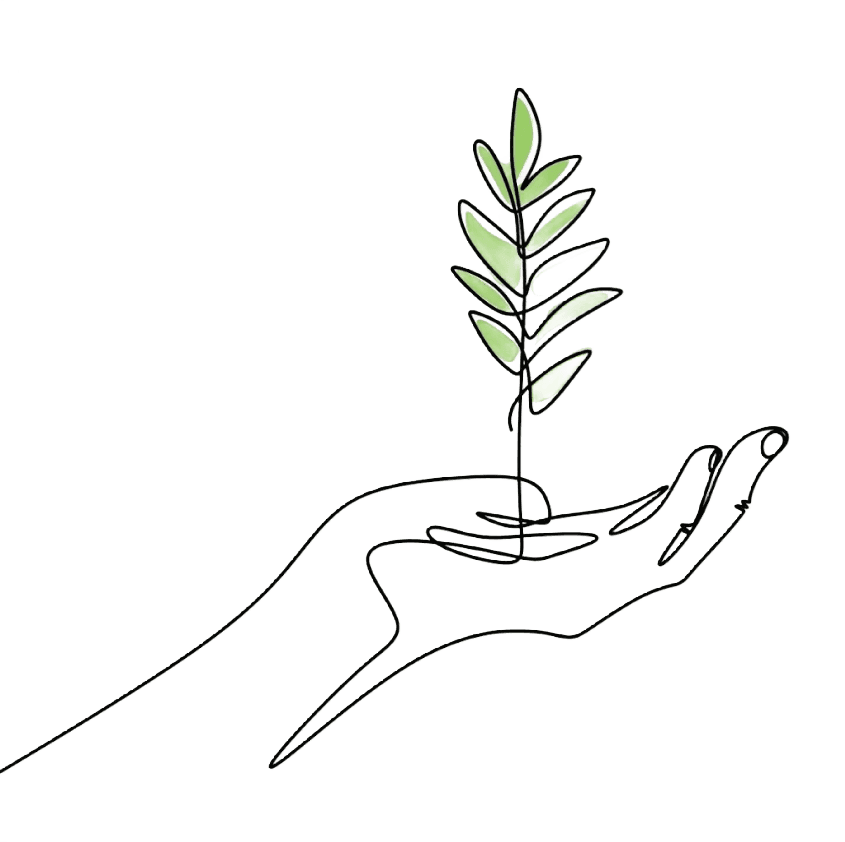 Illustration of a hand holding a ferm