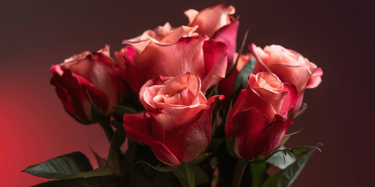 Michael Watz, culinary artist and photographer, captures the soul of food, culture, and travel through his lens