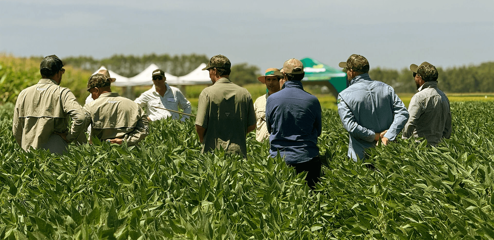 Profissionais do agro