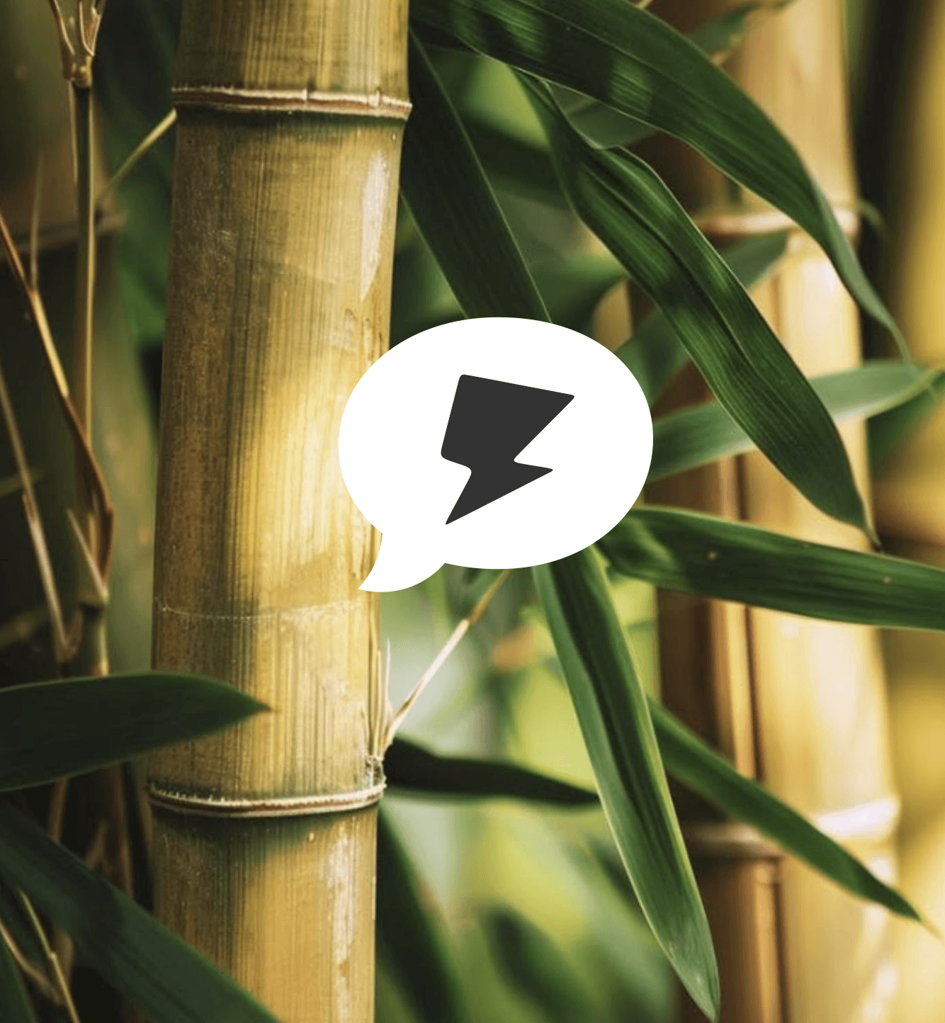 a part of the black headphone