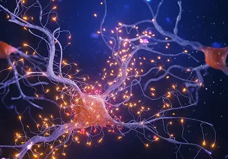 Nervous System thumbnail