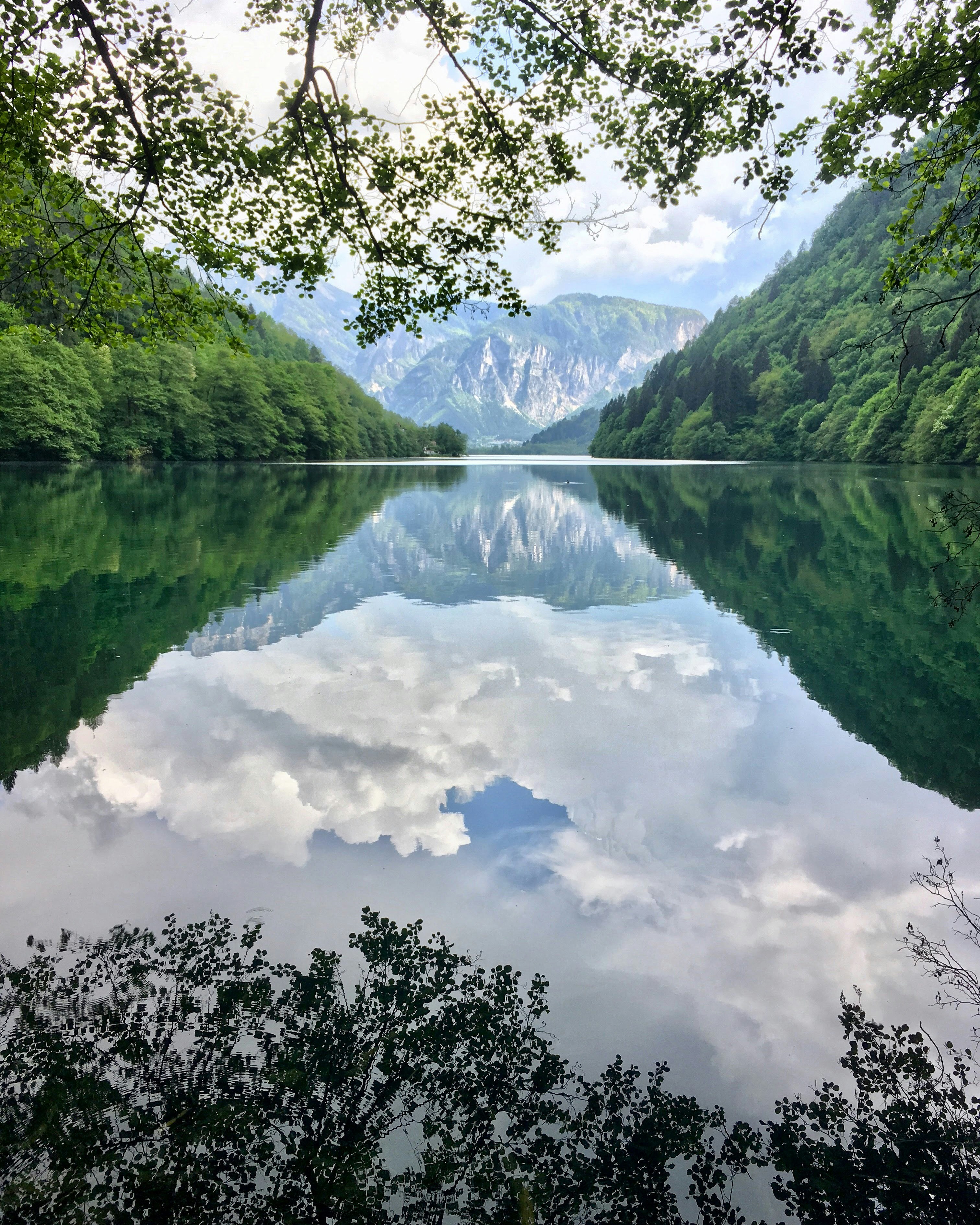 green trees near lake under white clouds and blue sky during daytime