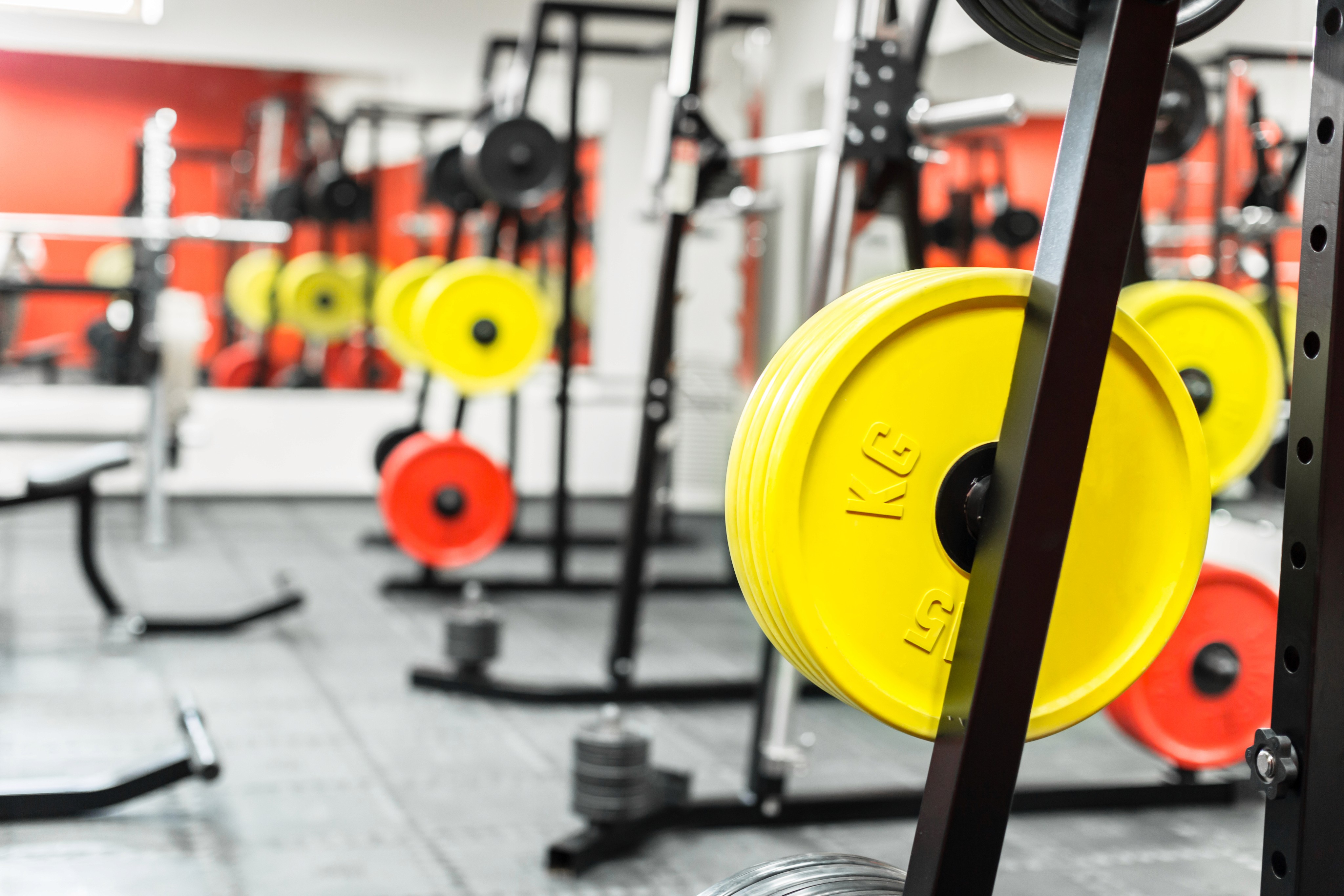 Colourful weight plates on racks in a gym.