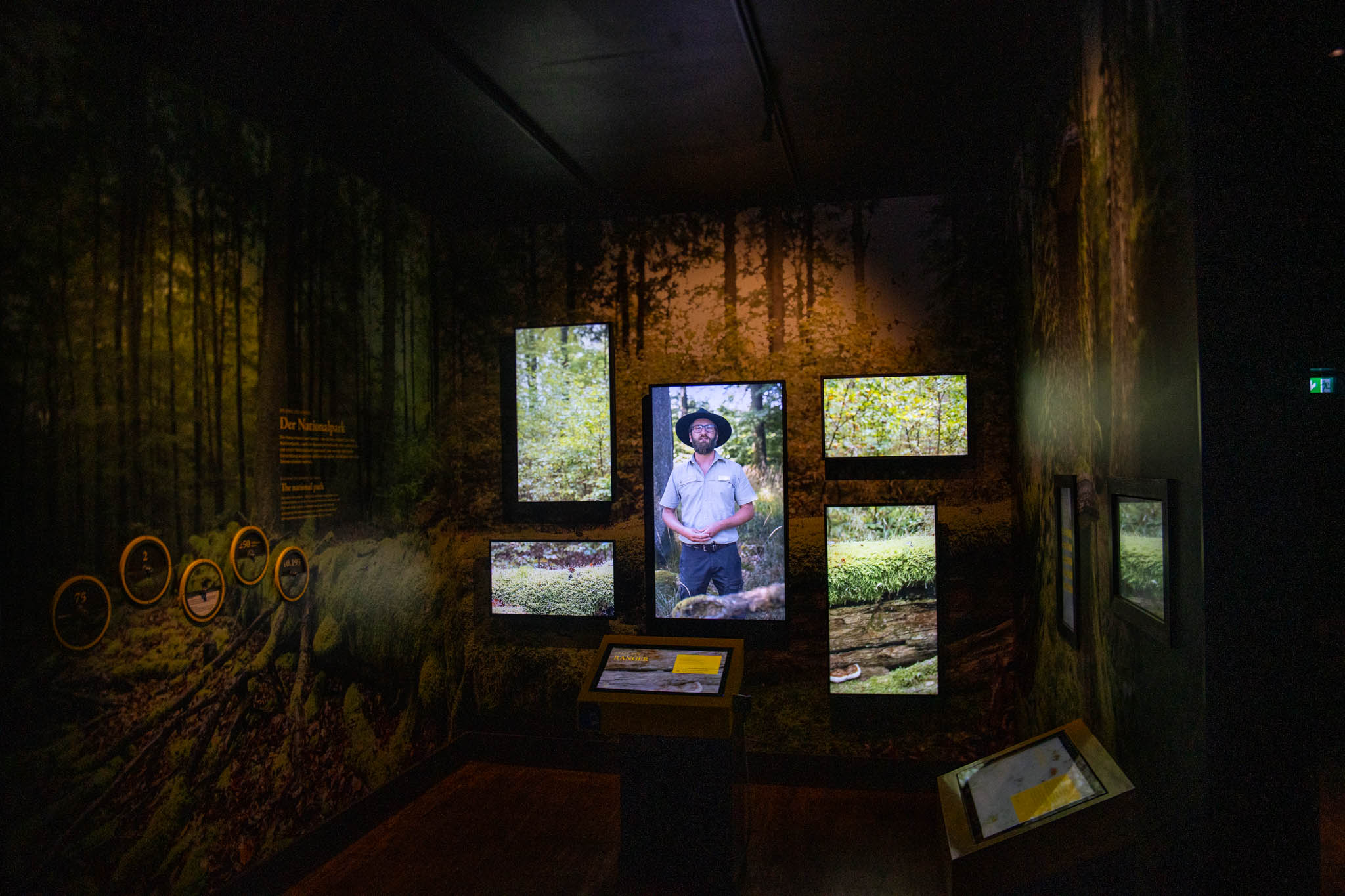 Nationalpark Ausstellung im Hunsrückhaus auf dem Erbeskopf