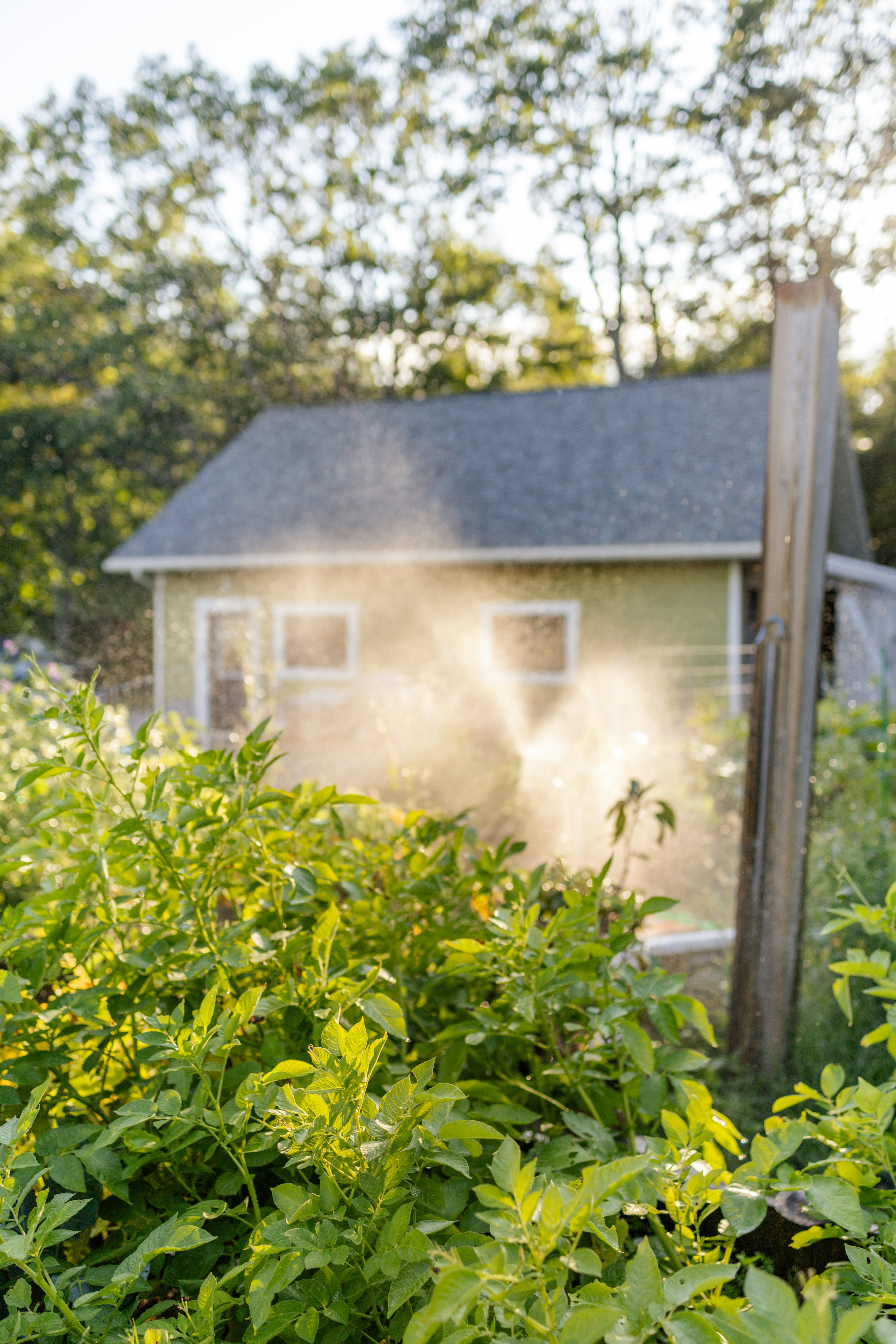 Expert Handyman Siding Repair in Vancouver - Find Near Me!