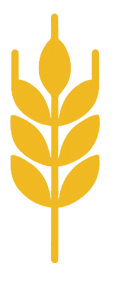 Placeholder logo