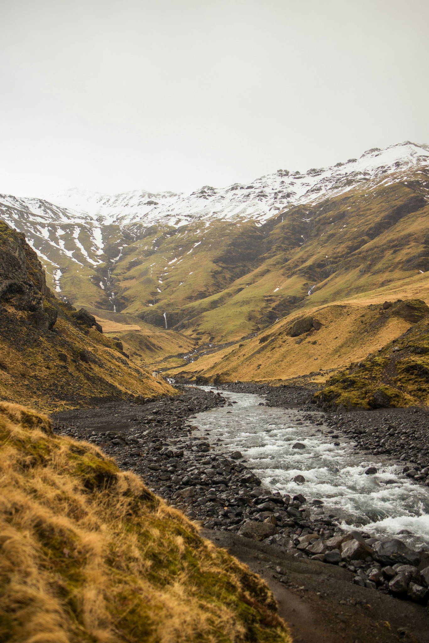 Close-up of a scientist holding a tray of petri dishes with purple cultures, wearing gloves and safety gear.