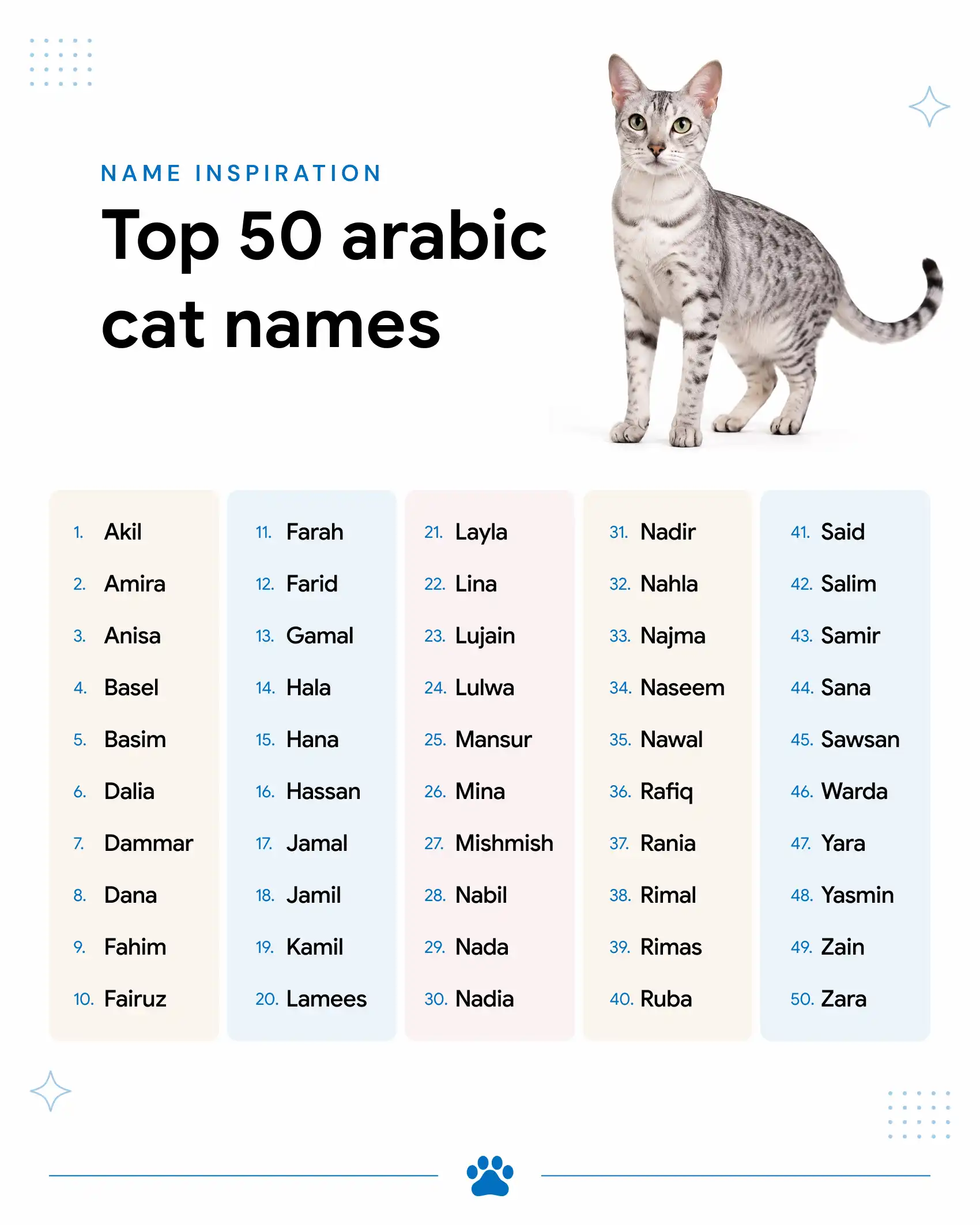 A list of 50 Arabic cat name suggestions that have various beautiful meanings.