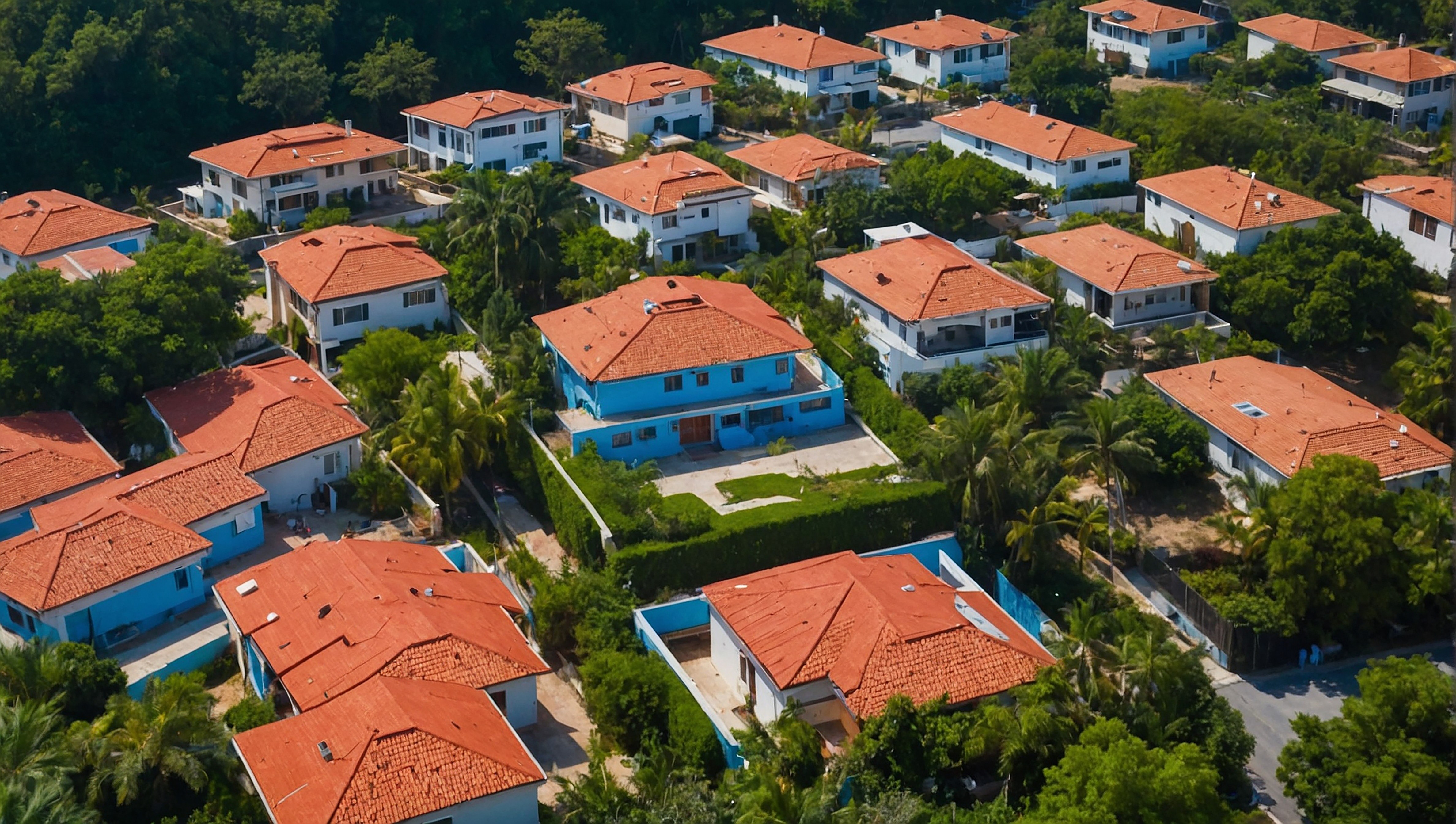 aerial photography of houses near trees