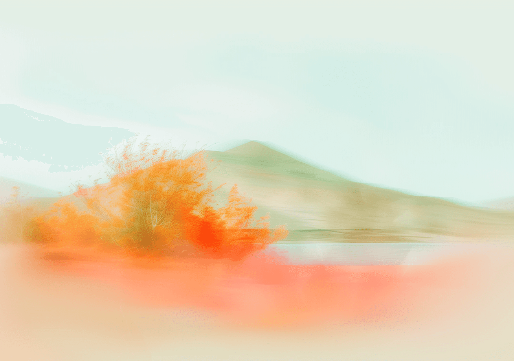 Transforming Visions Through Creative Strategy