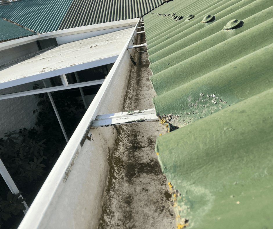 How Long Does a Professional Window Clean Last?