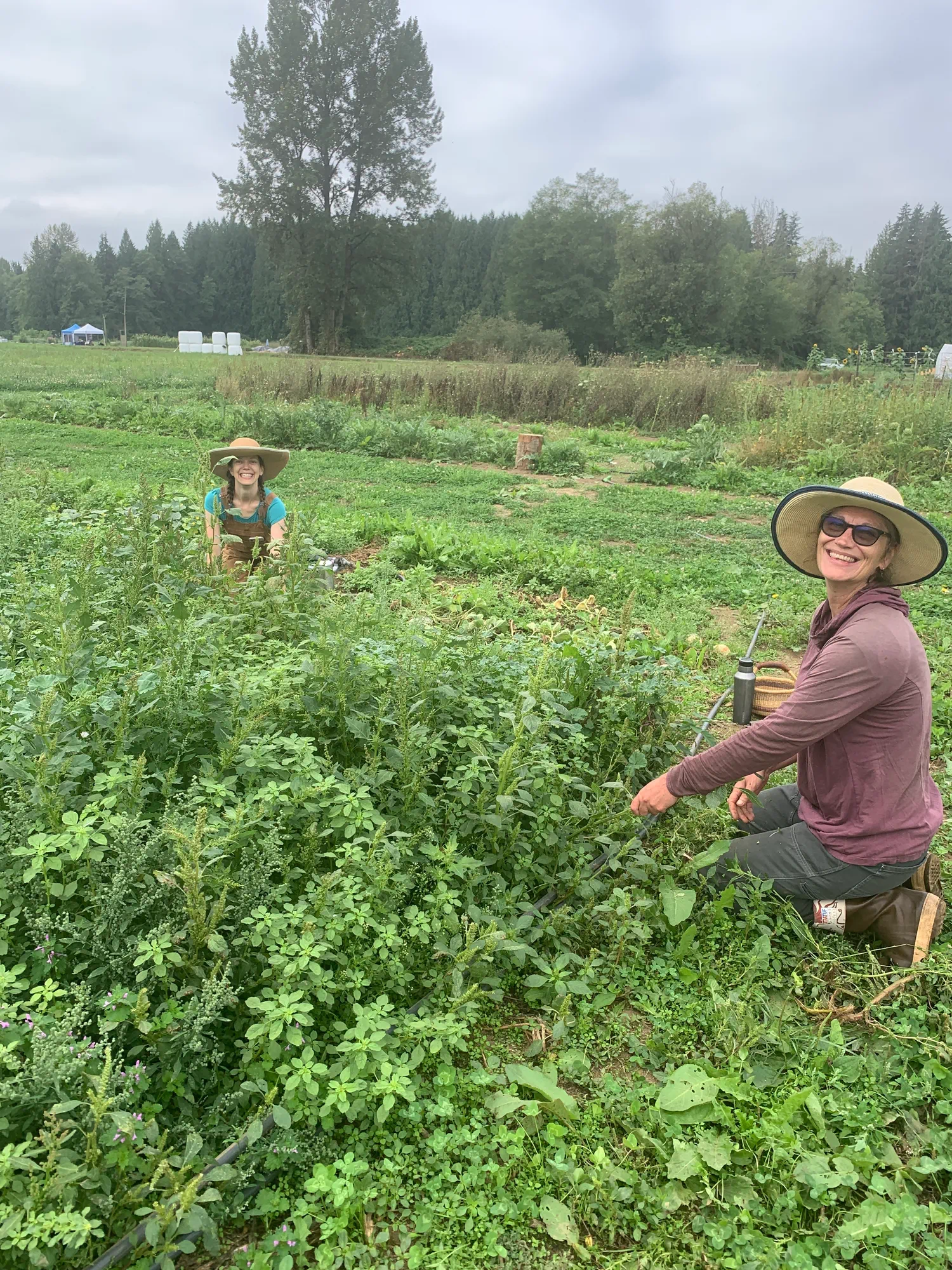 Two women smiling while harvesting plants together in a field at Rooted Northwest.