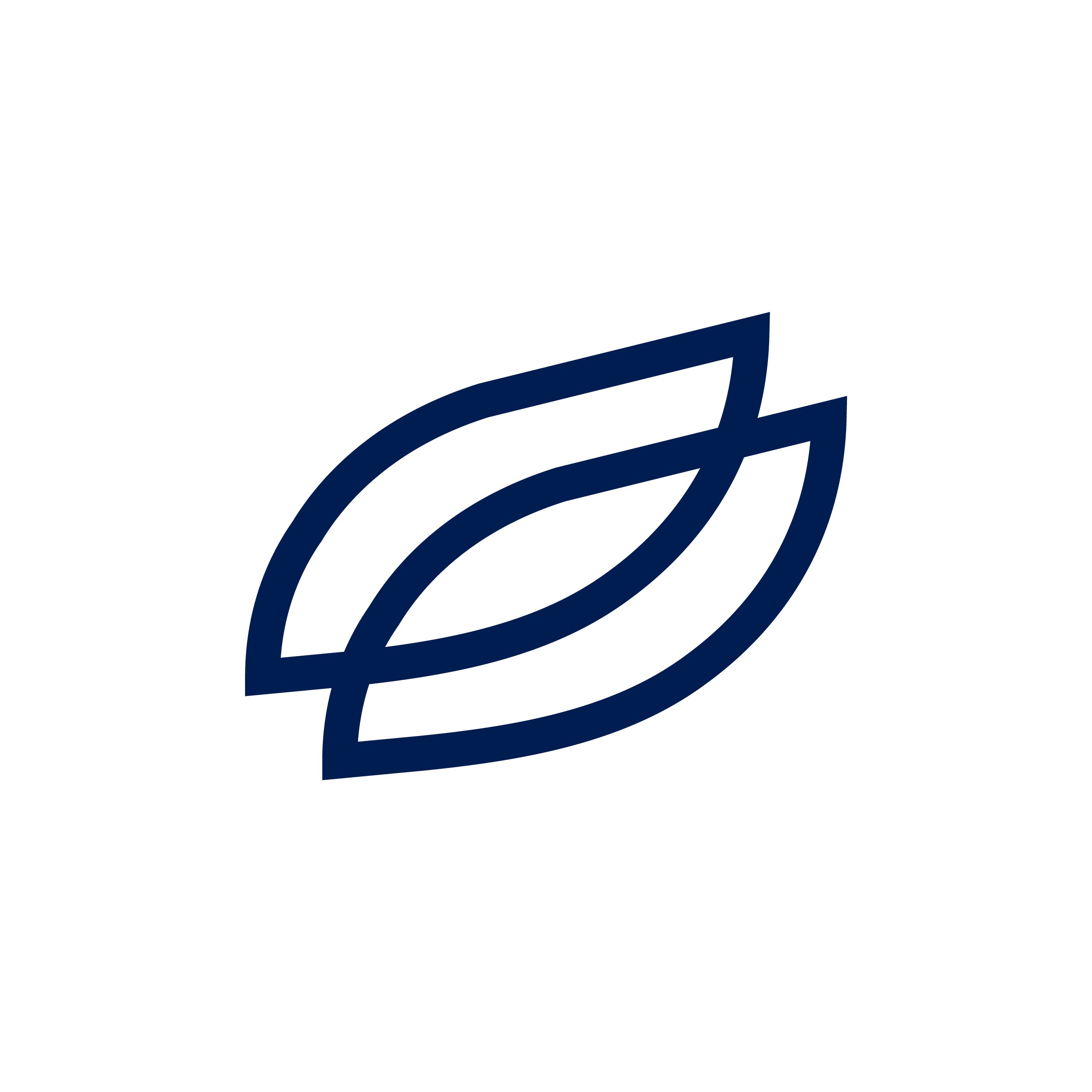 Portrait of portfolio creator – front view