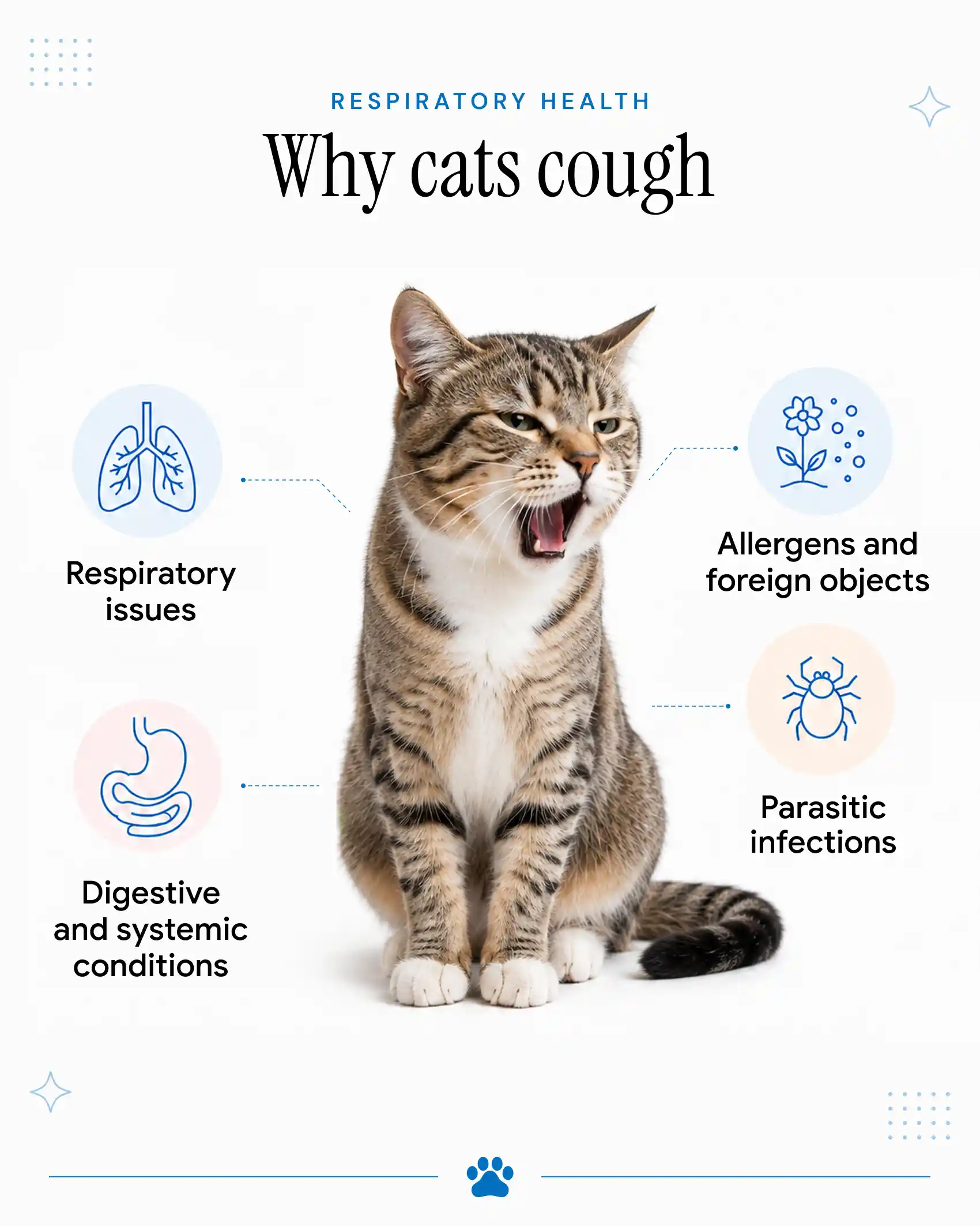 An infographic featuring a vet holding a white cat, showing the reasons why cats cough.