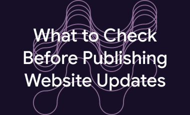 What to Check Before Publishing Website Updates cover