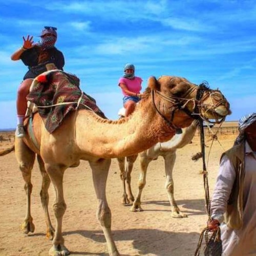 camel ride port Ghalib