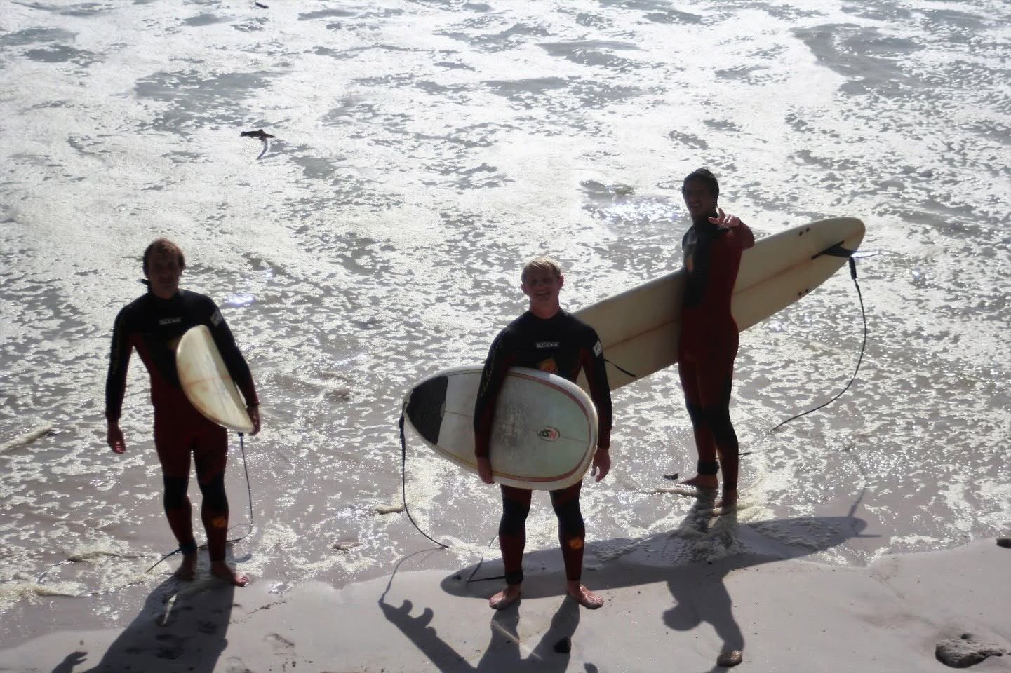 les safaris pendant un sejour linguistique