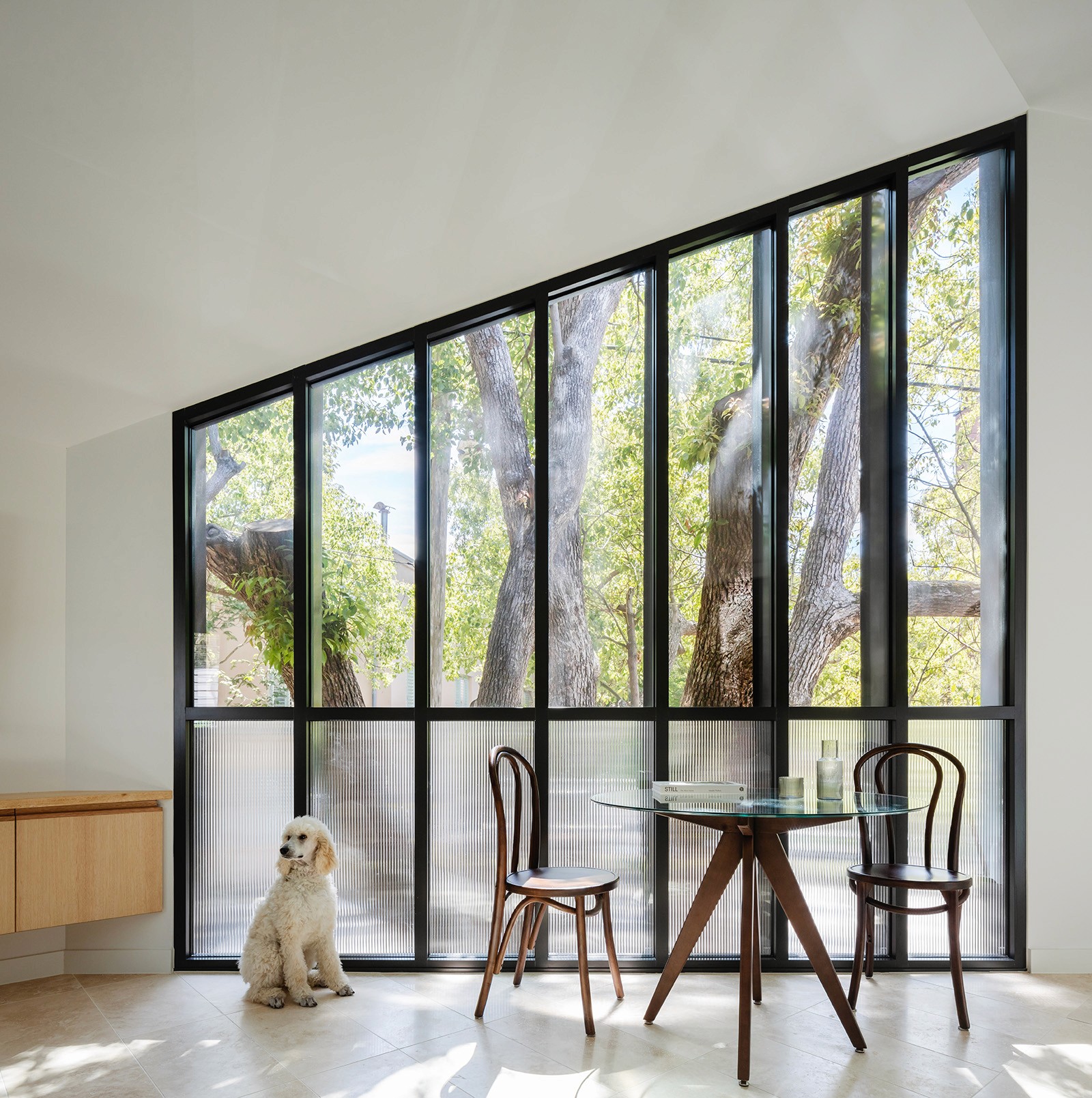 Angled floor-to-ceiling steel-framed windows inside the Woollahra Treehouse, filtering soft daylight and framing views into the surrounding tree canopy.