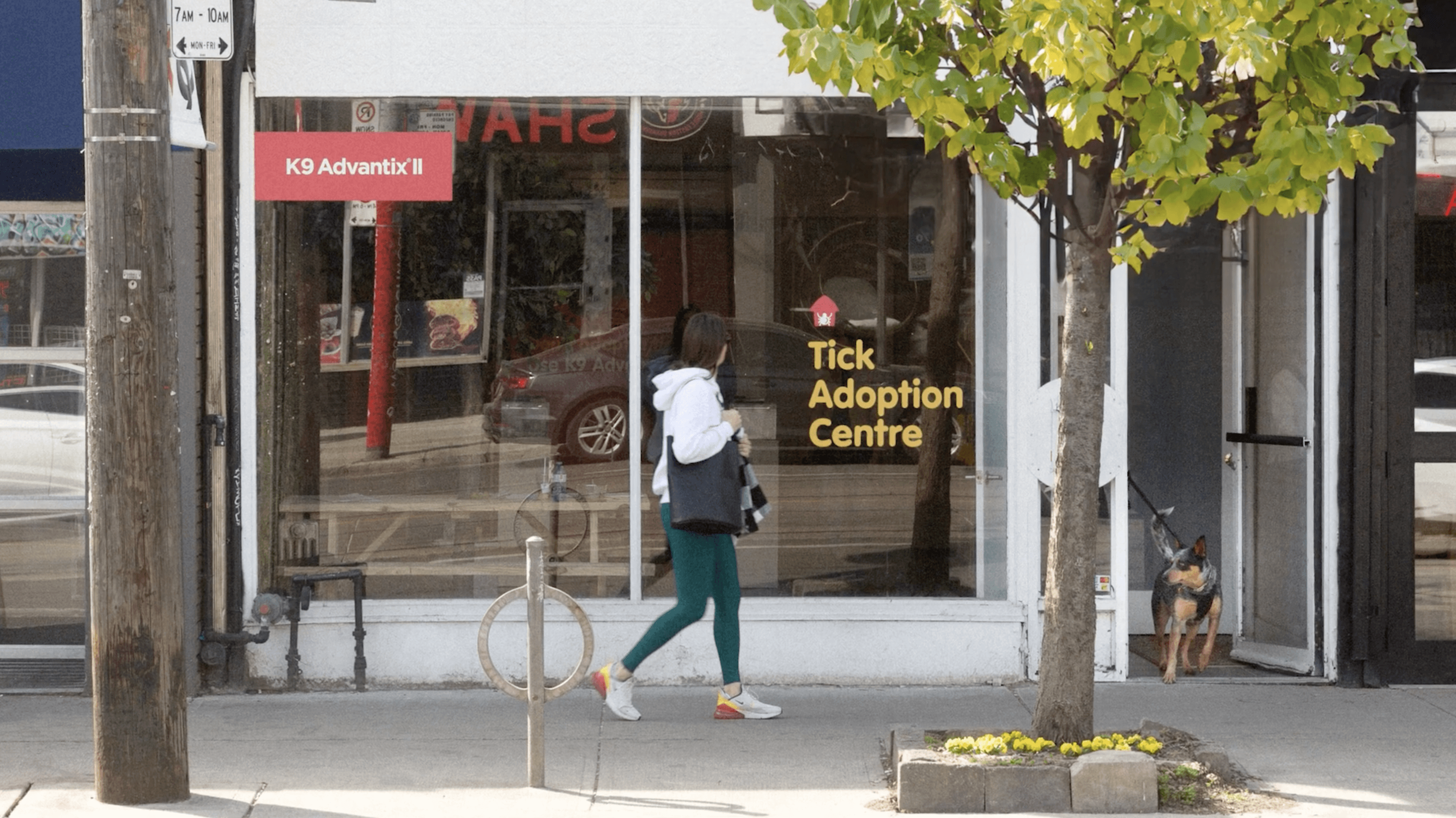 Outside the Tick Adoption Store front