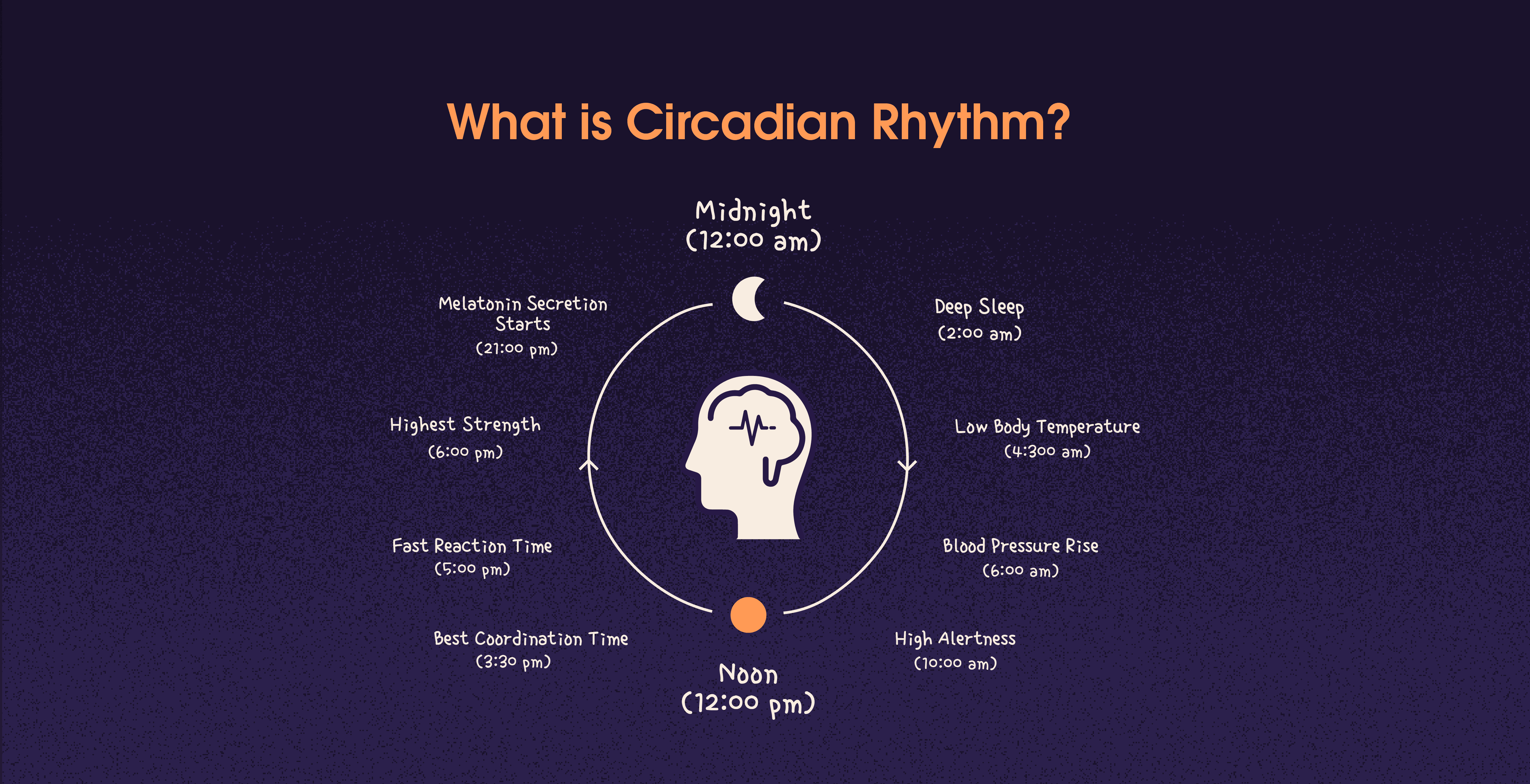 circadian rhythm