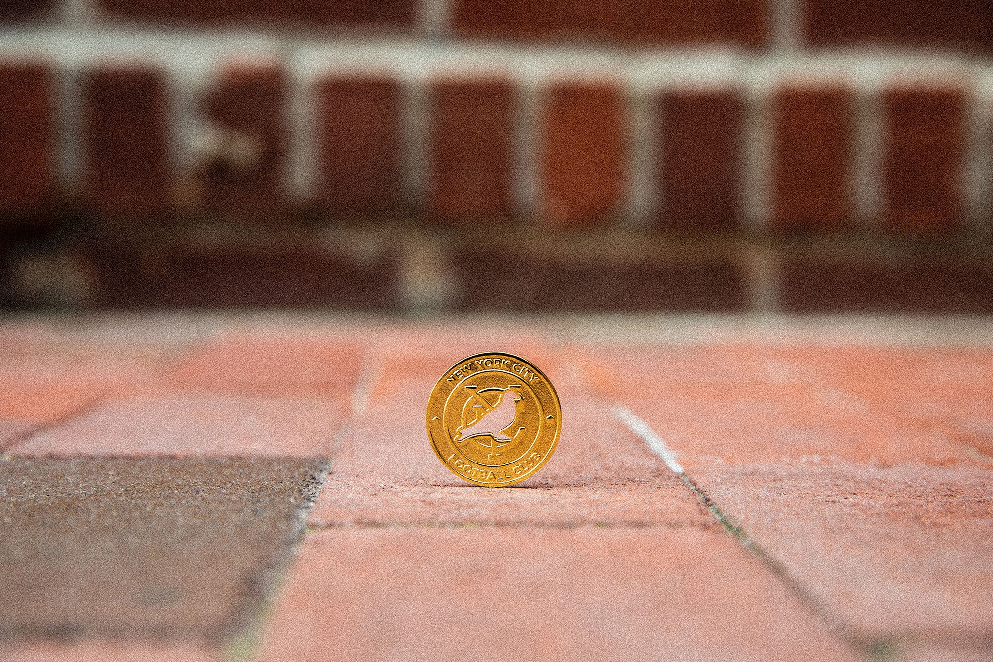 Gold Staple pigeon coin standing on a brick surface with shallow depth of field.