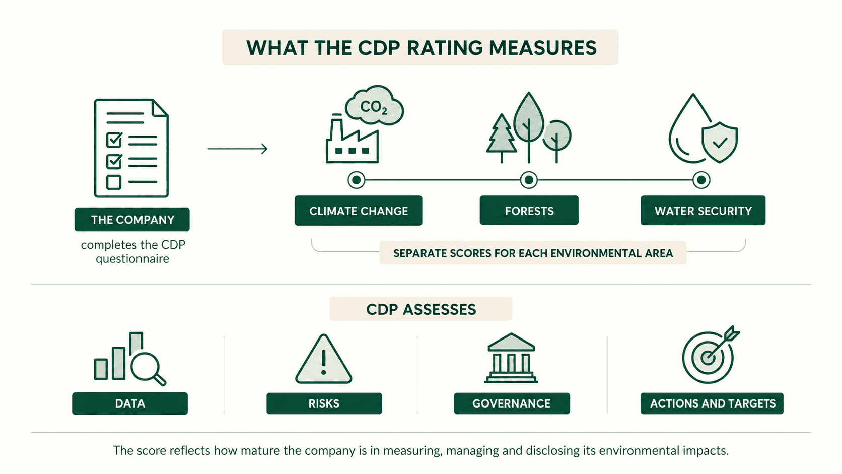 Infographic on the CDP rating with separate scores for climate change, forests and water security, and assessment areas including data, risks, governance and targets.