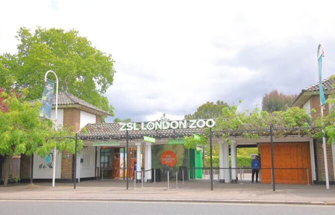 Visit the London Zoo