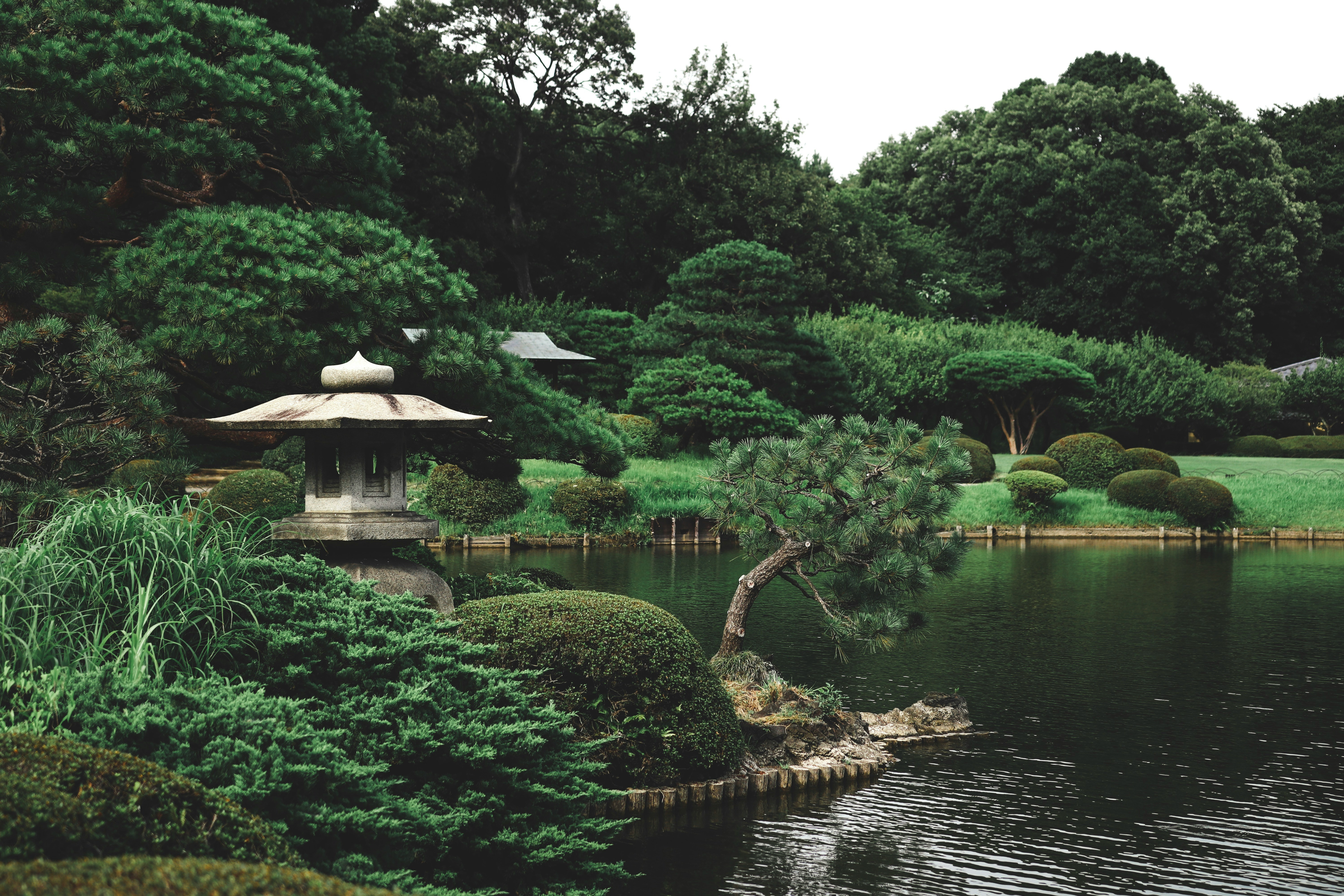 Japanese Scene