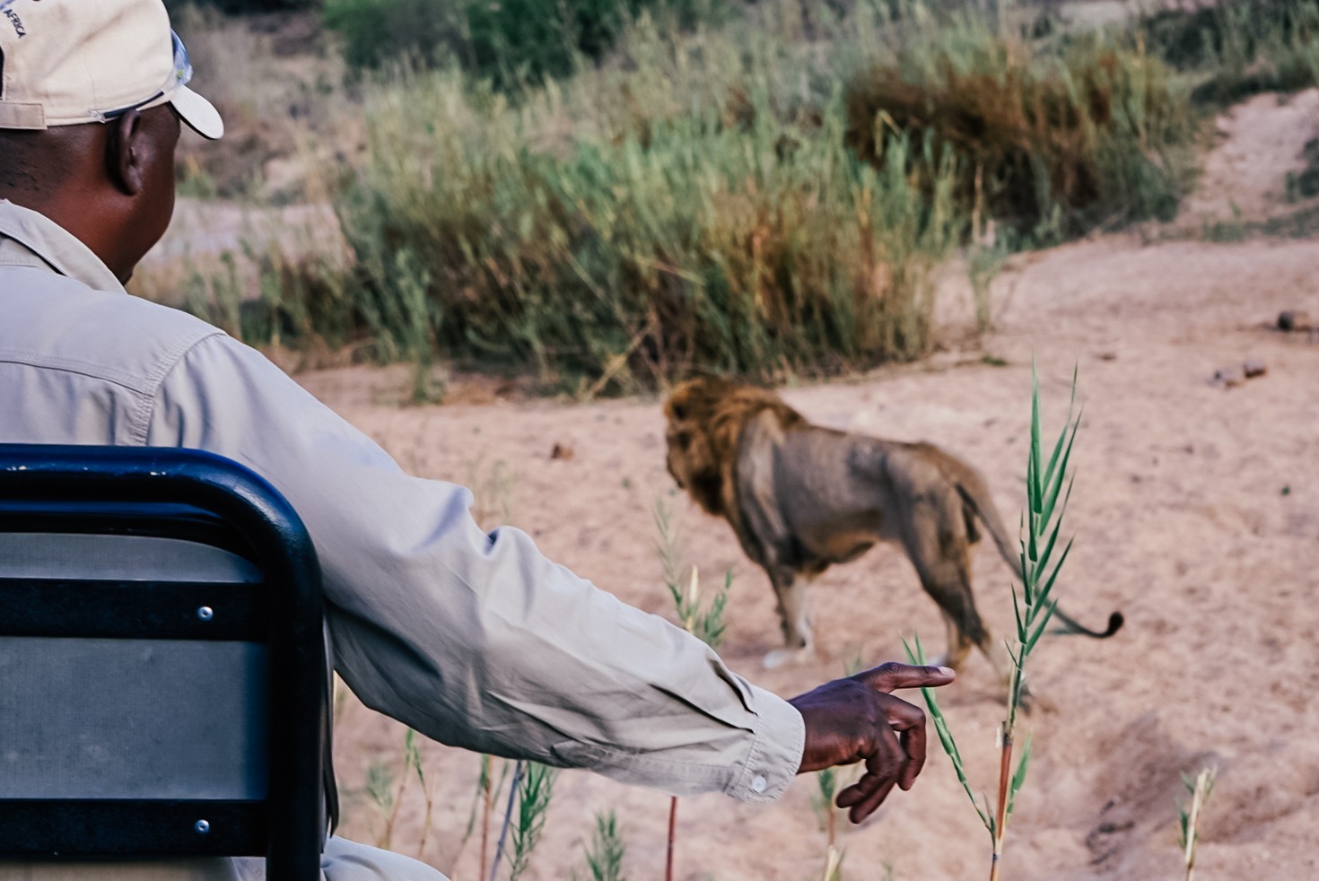 Dulini Leadwood Lodge, Sabi Sands – Planning your Sabi Sands safari