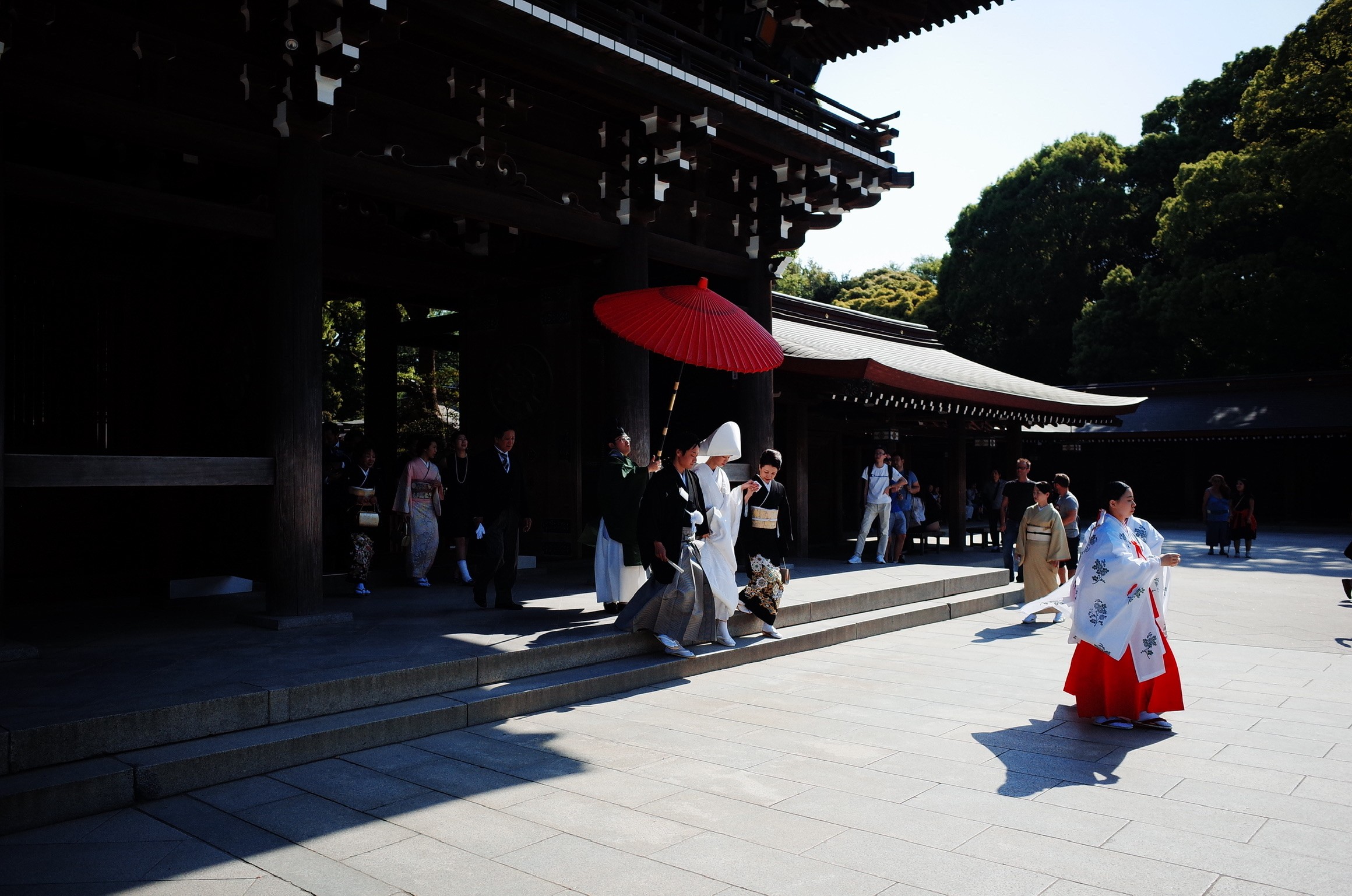 Photographie documentaire d'un marriage traditionnel japonais montrant une mariée en habit traditionnel sous une ombrelle rouge faisant son entrée dans un temps de Tokyo suivie par ses invités et membres de sa famille